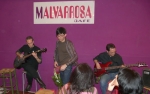 malvarrosa08_instrumental